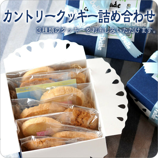 《カントリークッキー詰め合わせ》9個入り[焼き菓子][ギフト]　焼き菓子詰め合わせ お菓子 スイーツ 個包装 プレゼント