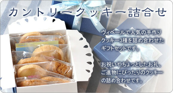 《カントリークッキー詰め合わせ》9個入り[焼き菓子][ギフト]　焼き菓子詰め合わせ お菓子 スイーツ 個包装 プレゼント