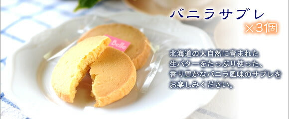 《カントリークッキー詰め合わせ》9個入り[焼き菓子][ギフト]　焼き菓子詰め合わせ お菓子 スイーツ 個包装 プレゼント