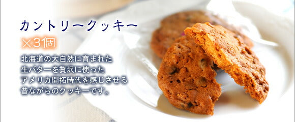 《カントリークッキー詰め合わせ》9個入り[焼き菓子][ギフト]　焼き菓子詰め合わせ お菓子 スイーツ 個包装 プレゼント